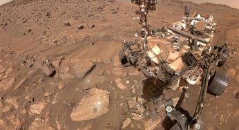 “The Clearest Sign of Life We’ve Ever Found”: NASA’s Perseverance Rover Finds ‘Leopard Spots’ on Mars Rock