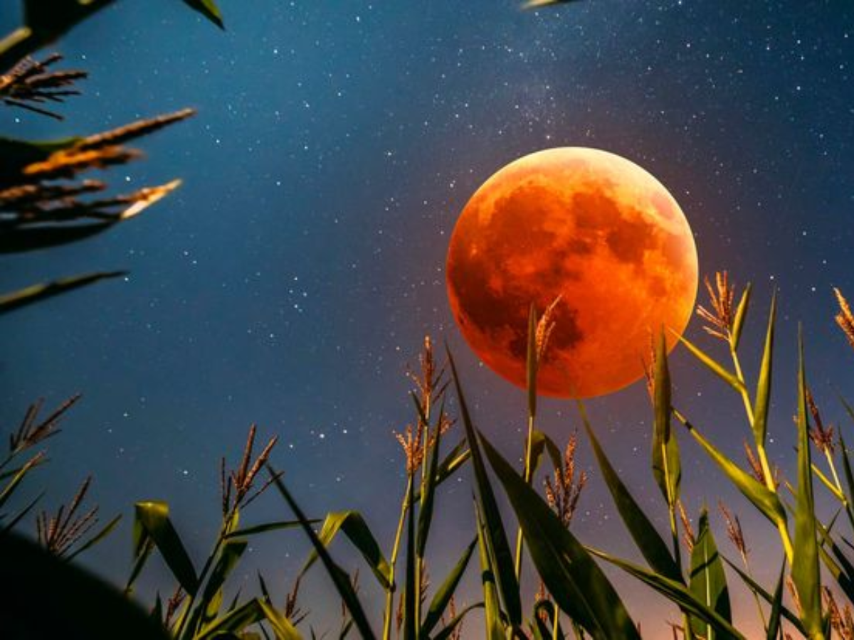 Blood Moon vs Corn Moon: What Makes September’s Lunar Show Special