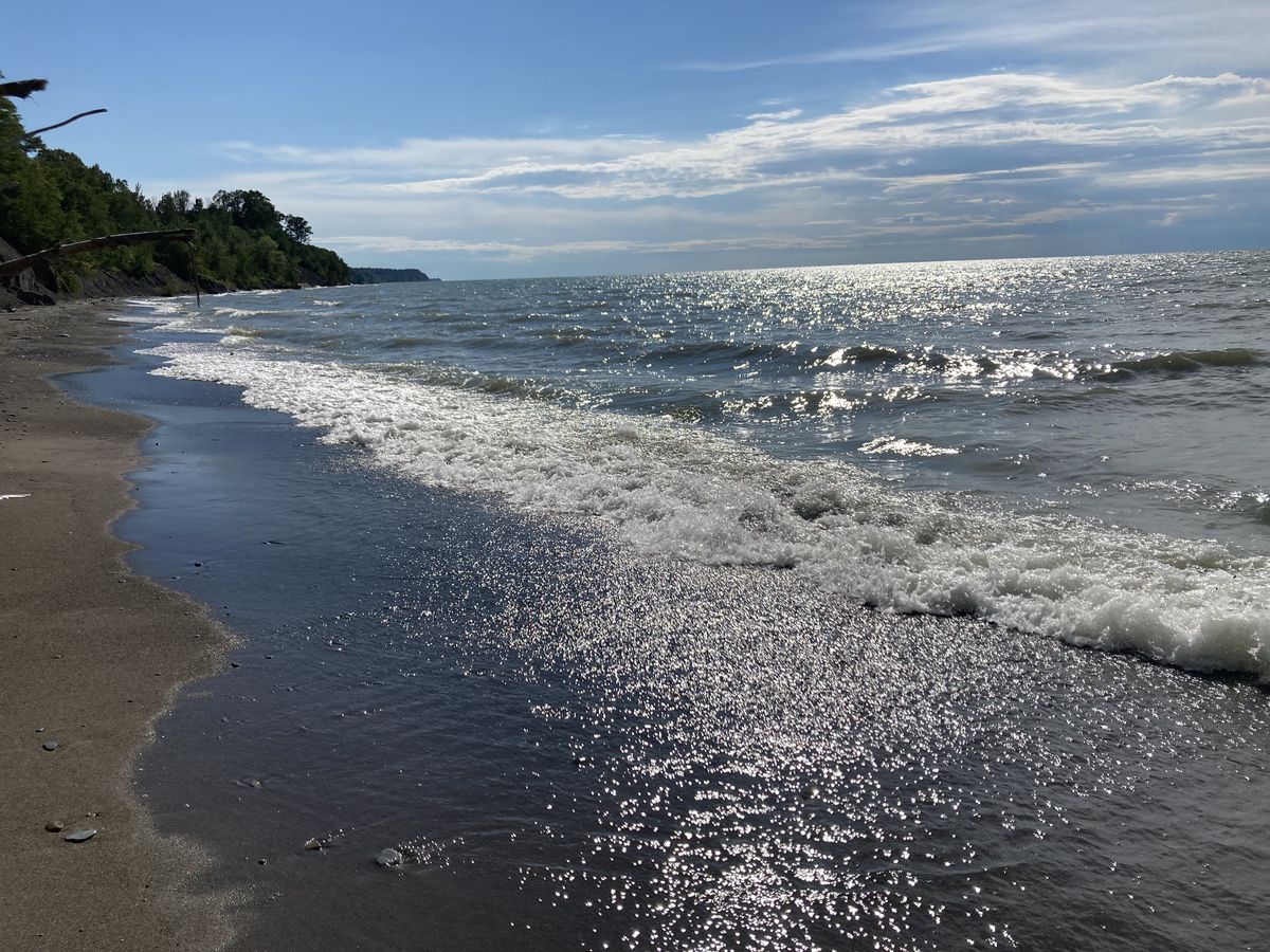 Diatom blooms marking the thaw and renewal of Lake Erie’s - Photo Gallery