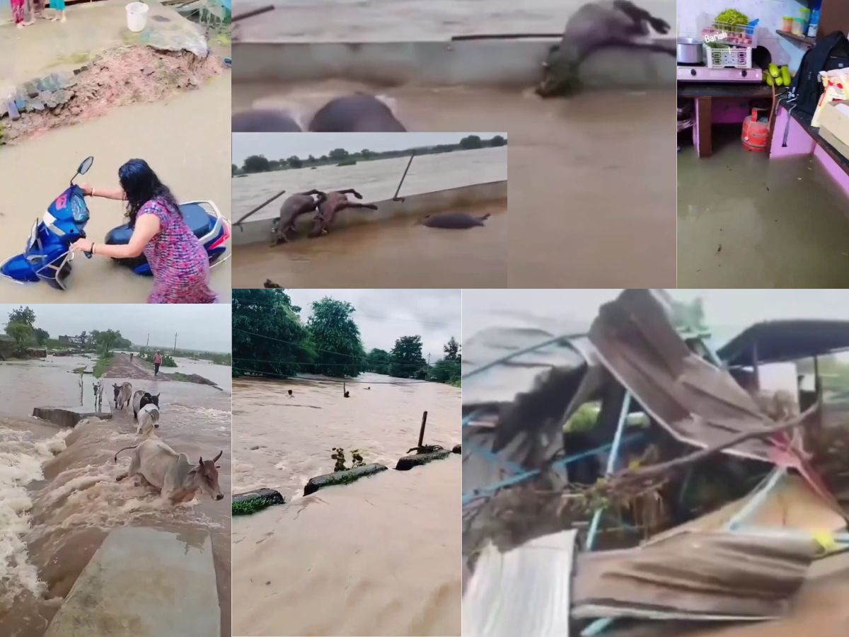 Floods in India: Bihar, Punjab, and Other Parts of North India Struggle