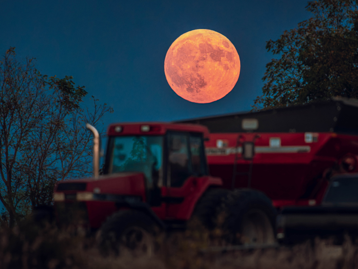 Harvest Moon 2025: Date, Timings, & Best Ways to See the Supermoon