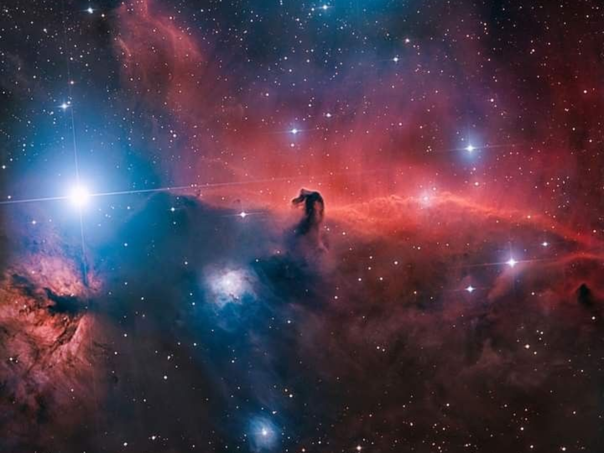 The Horsehead Nebula’s famous dark silhouette. - Photo Gallery