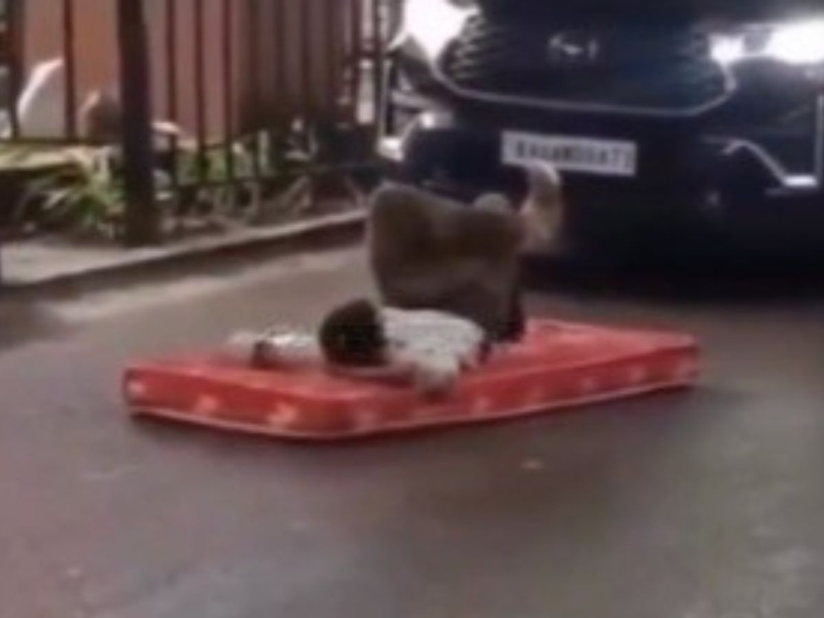 Traffic Chaos as Bengaluru Man Lies Down on Mattress on Busy Road: Viral Video