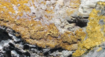 Earth’s Core Leaks Gold in Lava from Hawaiian volcanoes: Scientists Discover Rare Metals Escaping