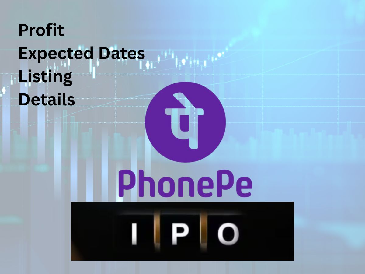 PhonePe: After Filing DRHP,  FinTech Gears Up For IPO | Look At Its Numbers
