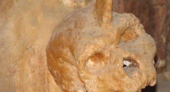 Petralona Skull Mystery Solved: 300,000-Year-Old Fossil Confirmed as Hominid After 60 Years
