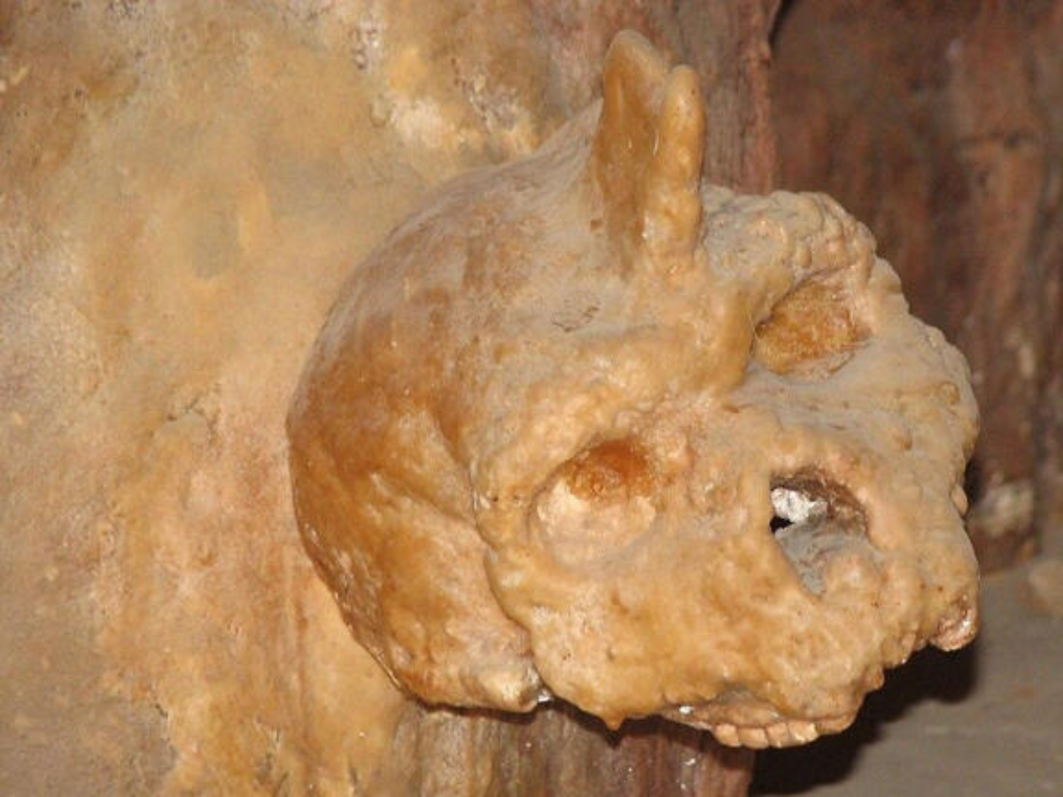 Petralona Skull Mystery Solved: 300,000-Year-Old Fossil Confirmed as Hominid After 60 Years