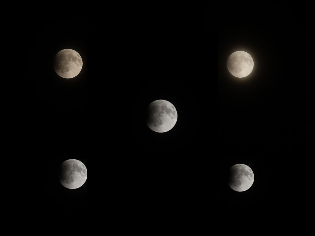 ‘The Eclipse Has Begun’: Follow the Celestial Event as the Moon Turns Red Tonight