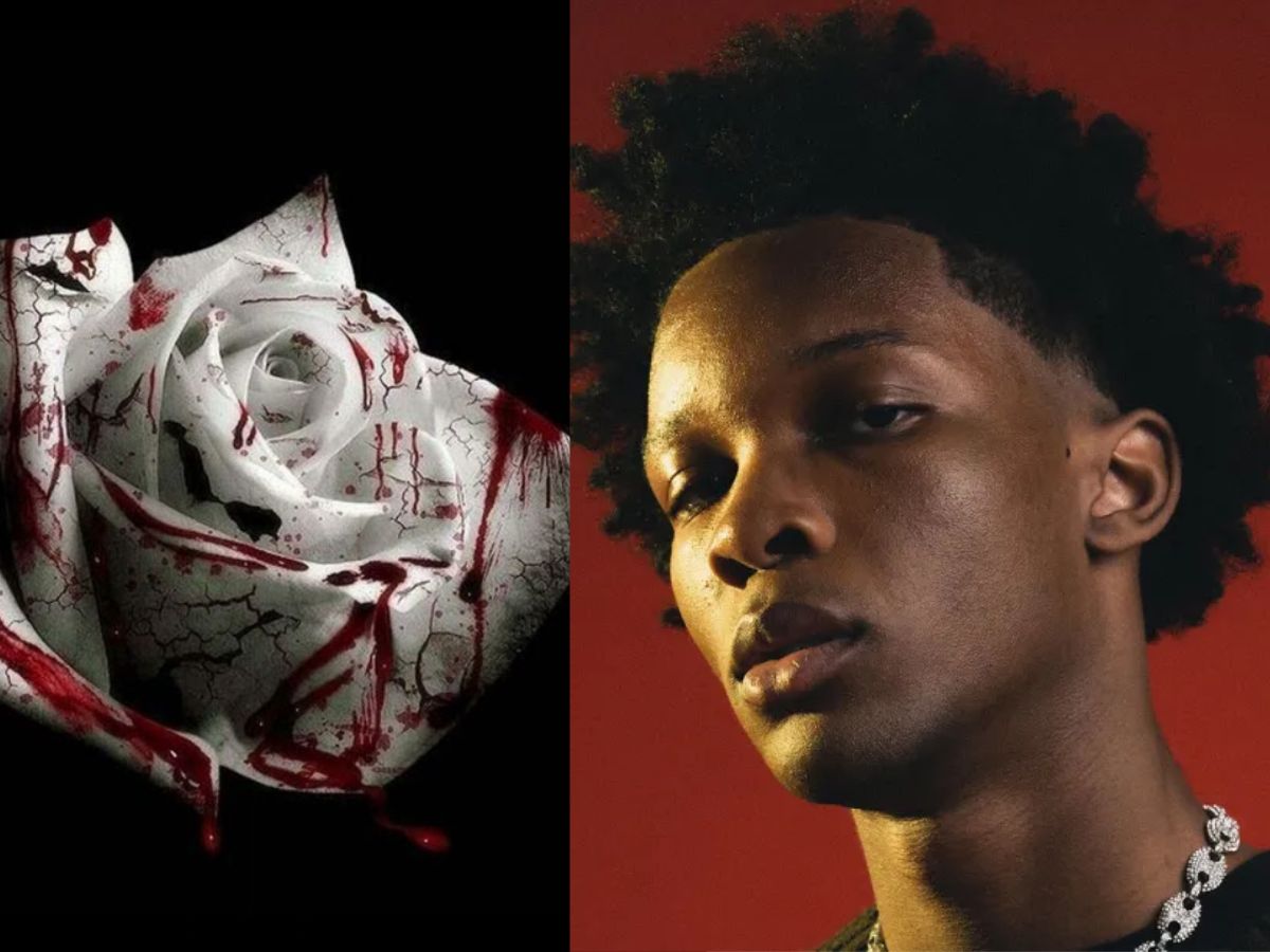 Chilling Coincidence: The Disturbing Convergence of D4vd’s Art and a Real-Life Homicide