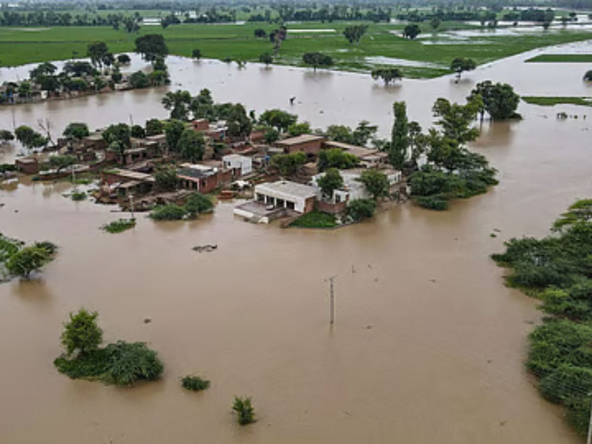 1,312 Villages Under Water, Punjab Grapples With Severe Floods | Report