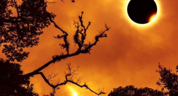 Solar Eclipse 2025: 5 Key Mistakes to Avoid During September 21 Surya Grahan in Virgo