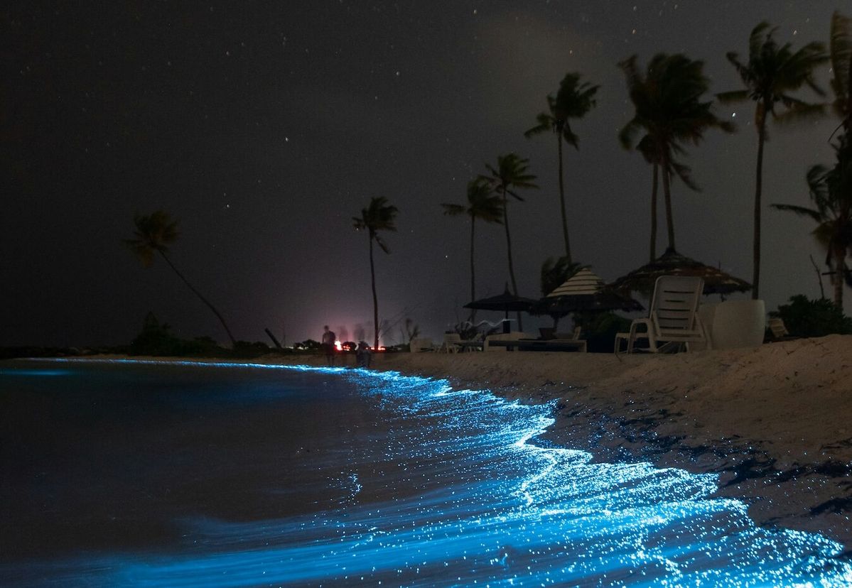 Kayak leaving a glowing trail in Mosquito Bay, Puerto Rico. - Photo Gallery