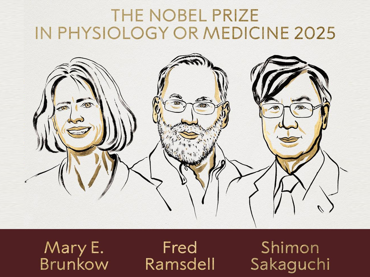 2025 Nobel Prize in Medicine: Mary E Brunkow, Fred Ramsdell, & Shimon Sakaguchi Honoured for Immune Tolerance Discovery