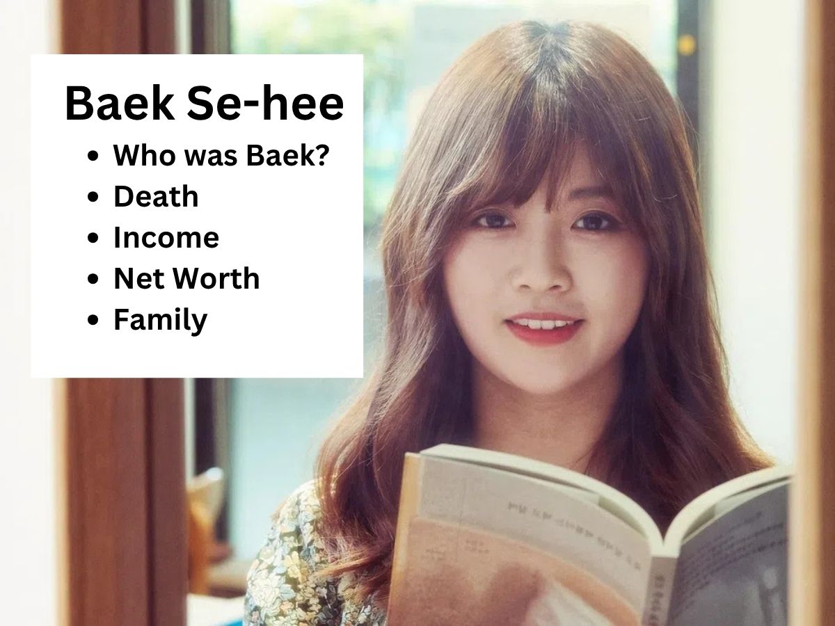 Who Was Baek Se-hee? Works, Net Worth, Income, Family, Boyfriend & Death