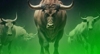 15th October, 2025 : Stock Market Pushes Recovery – Check Out the Key Gains