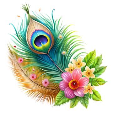 download 4 download 4