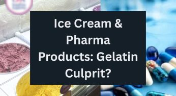 Exclusive | The ‘Gelatin’ Non-Veg Dilemma by Ice Cream and Pharma Companies