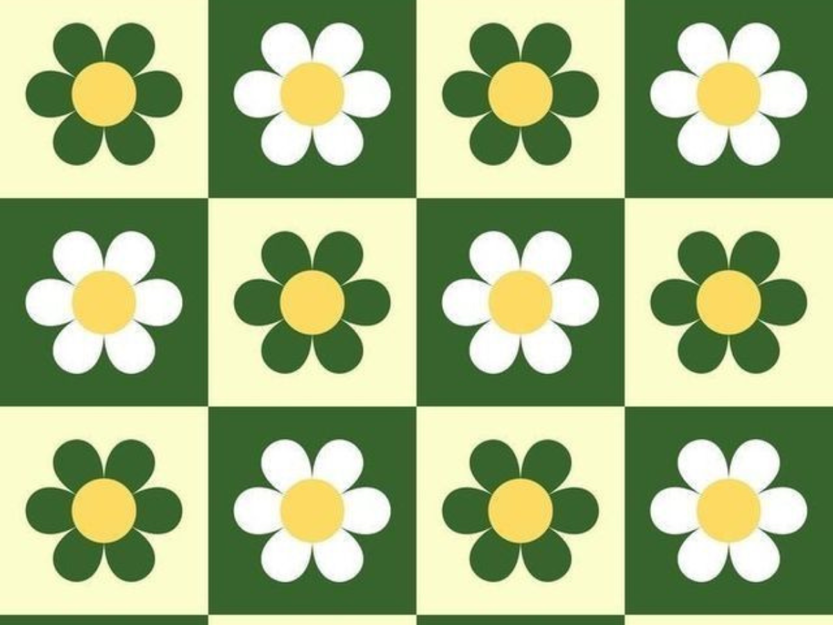 Geometric Patterns - Photo Gallery