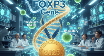 What Are T Cells? The Discovery Behind the 2025 Nobel Prize in Medicine