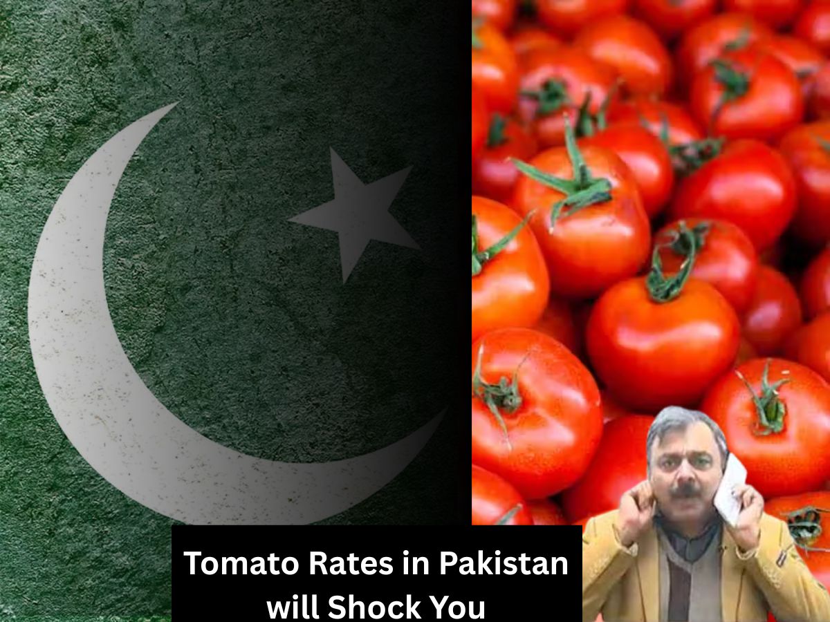 Tauba-tauba.. Tomato Prices in the ‘Meme Country’ Pakistan Will Shock You!