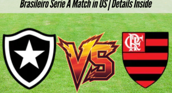 Botafogo vs Flamengo Live Streaming: Where to Watch Brasileiro Serie A Match in US | Details Inside