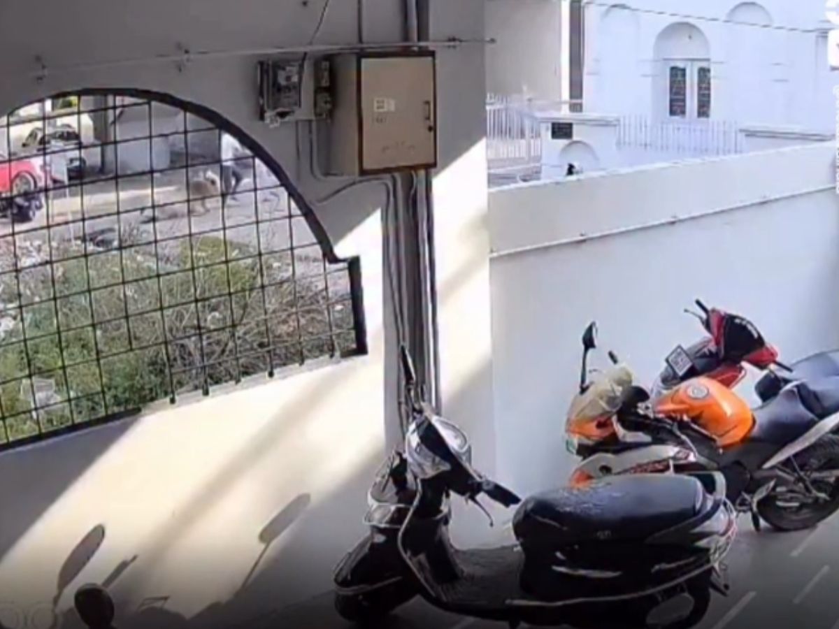 14-Year-Old Drives Hyundai Creta, Crashes Into House Wall, Hits Biker; Mother Says ‘Jo Karna Hai Karlo’