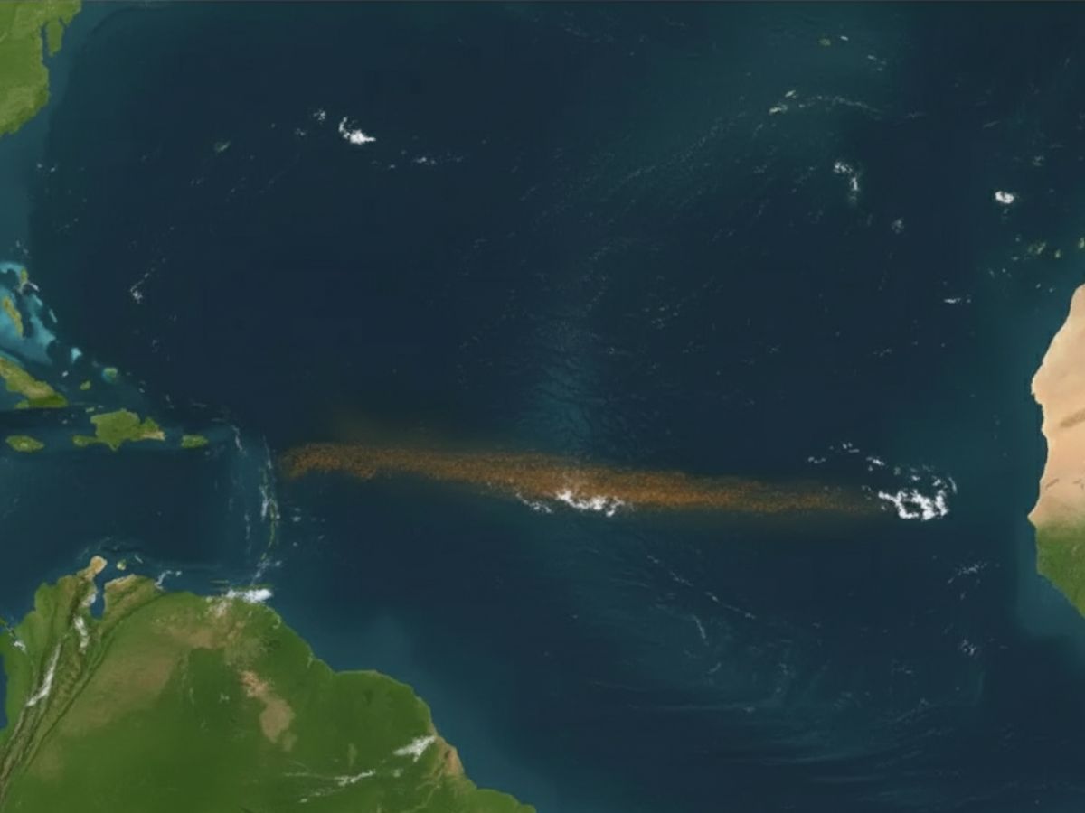 What Lies Beneath the Brown Ribbon? The Expanding Great Atlantic Sargassum Belt