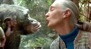 Jane Goodall Death: Who Were Her Two Husbands, Kids, Career | And Why She Never Remarried
