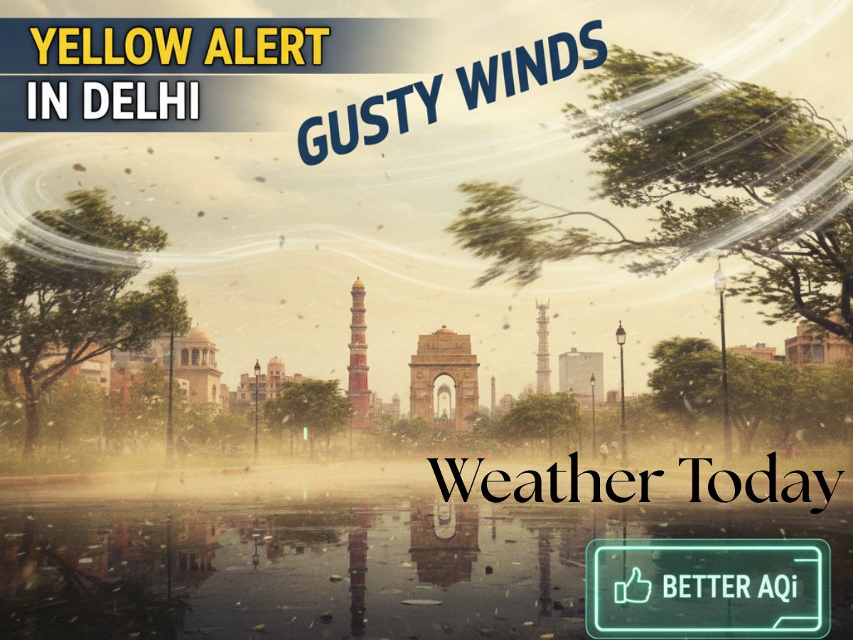 Weather Today: Yellow Alert in Delhi, Gusty Winds and Better AQI | Know Your City