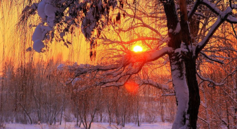 Winter Solstice 2025: Date, Meaning & Celebrations | The Longest Night That Brings New Light