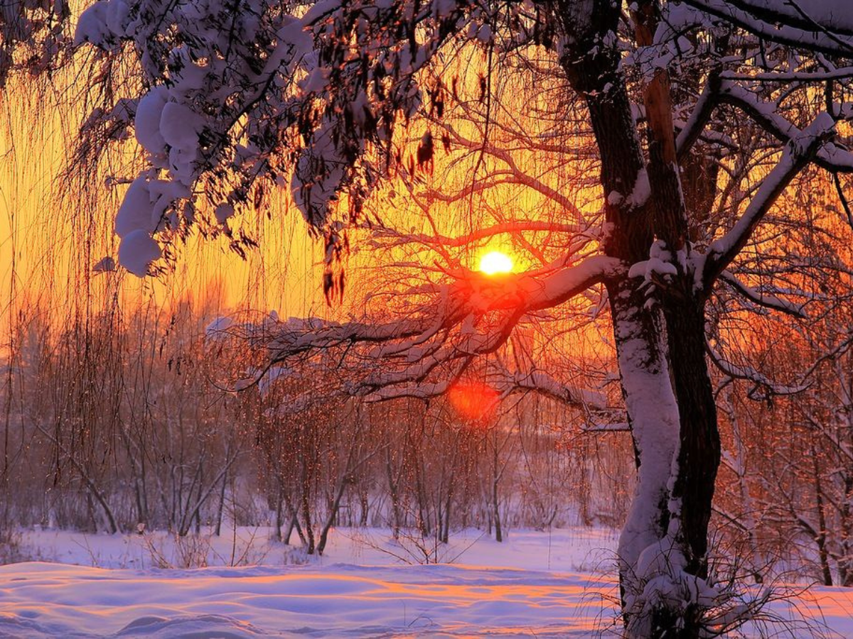 Winter Solstice 2025: Date, Meaning & Celebrations | The Longest Night That Brings New Light