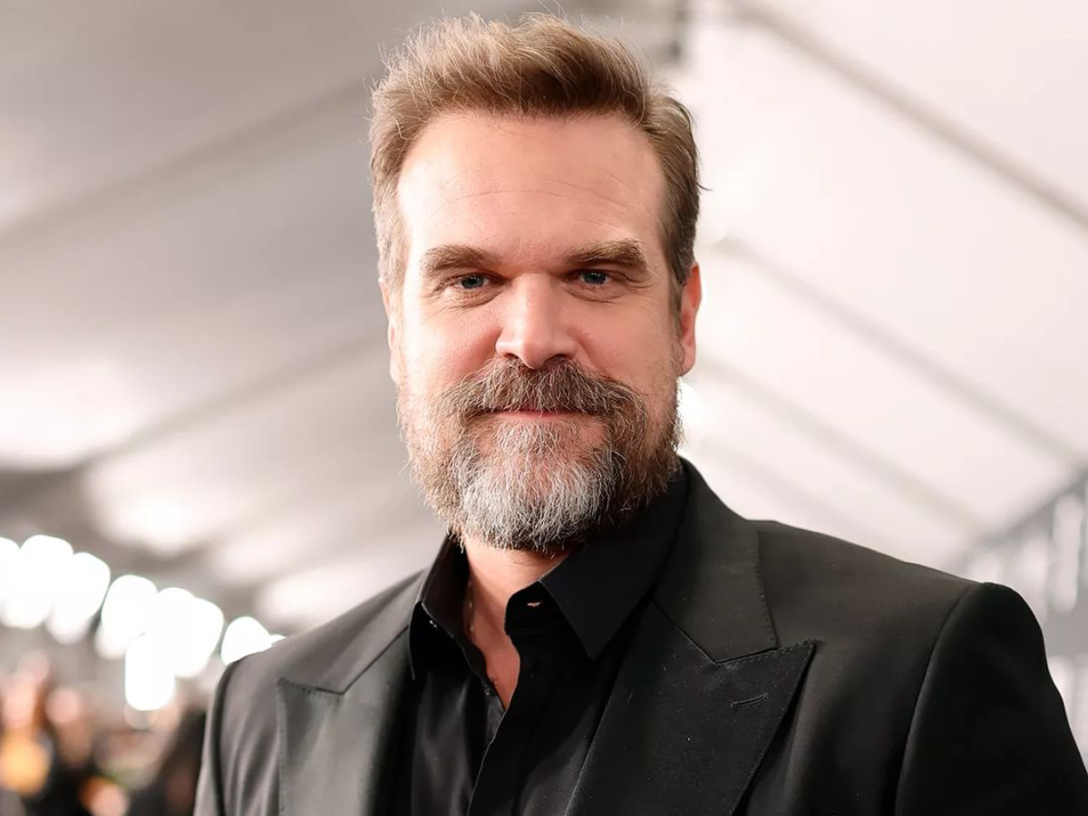 David Harbour: Wife, Net Worth, Career & Controversy | From Stranger Things to Scandal