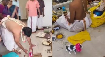 Modern Ritual Twist: Toy Cow Replaces Real Cow in Griha Pravesh Ceremony | WATCH