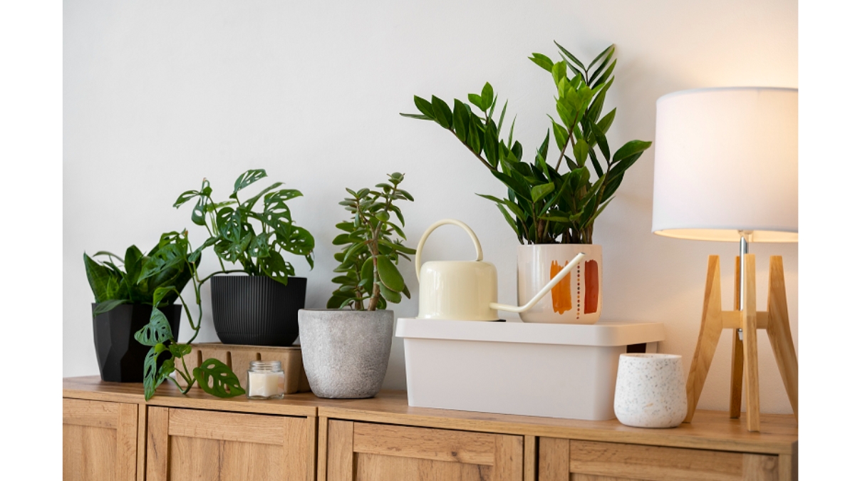 5 Small-Space Plant Ideas for City Homes