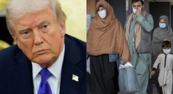 Trump Big Move After DC National Guard Attack: USCIS Halts Afghan Immigration, Freezes All Immigration Requests