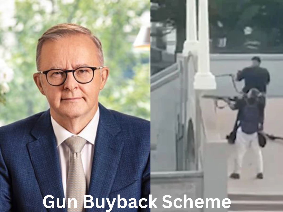 What Is a Gun Buyback Scheme? Why Australia Is Launching It After Bondi Beach Deadly Attack