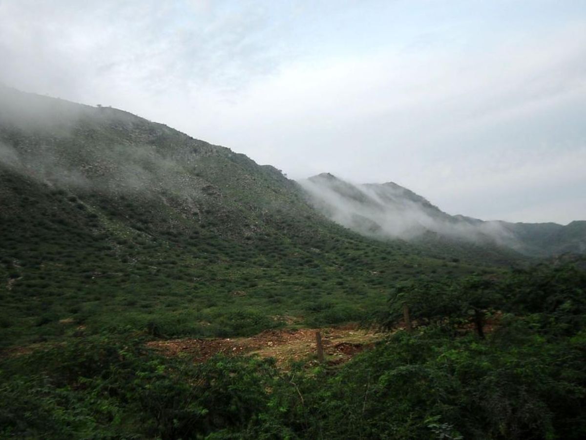 Centre Rejects ‘Relaxation’ Claims, Says 90% of Aravalli Hills Will Stay Protected Amid Protests