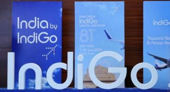 IndiGo Monopoly: How One Airline Controls More Than Half of Domestic Routes in Indian Skies? Explained