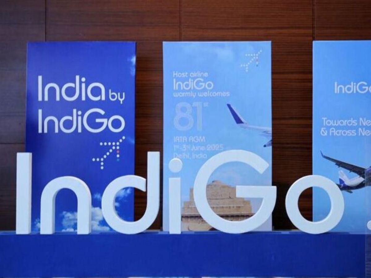 IndiGo Monopoly: How One Airline Controls More Than Half of Domestic Routes in Indian Skies? Explained