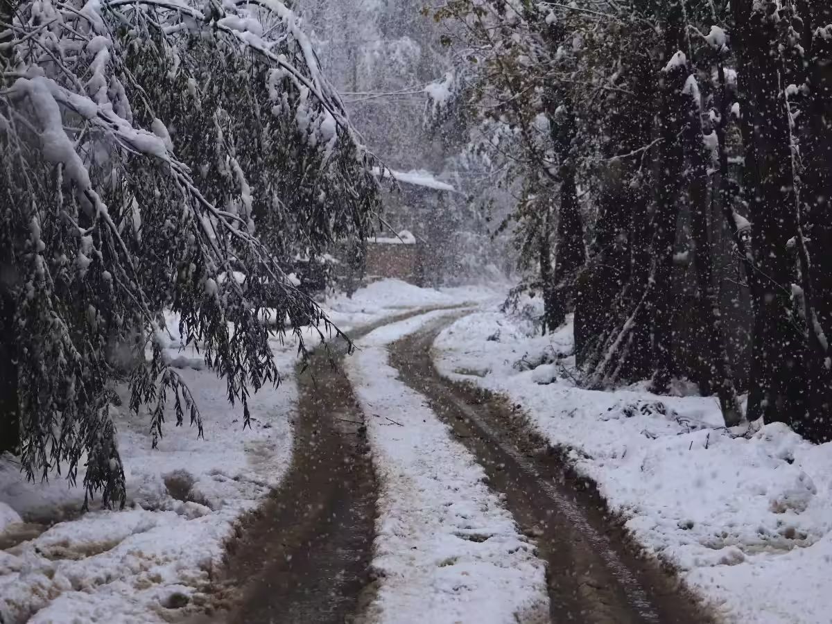 Kashmir Gripped by Extreme Cold Wave as Dras Freezes at -18.1°C During Chillai Kalan, Snowfall Expected Soon