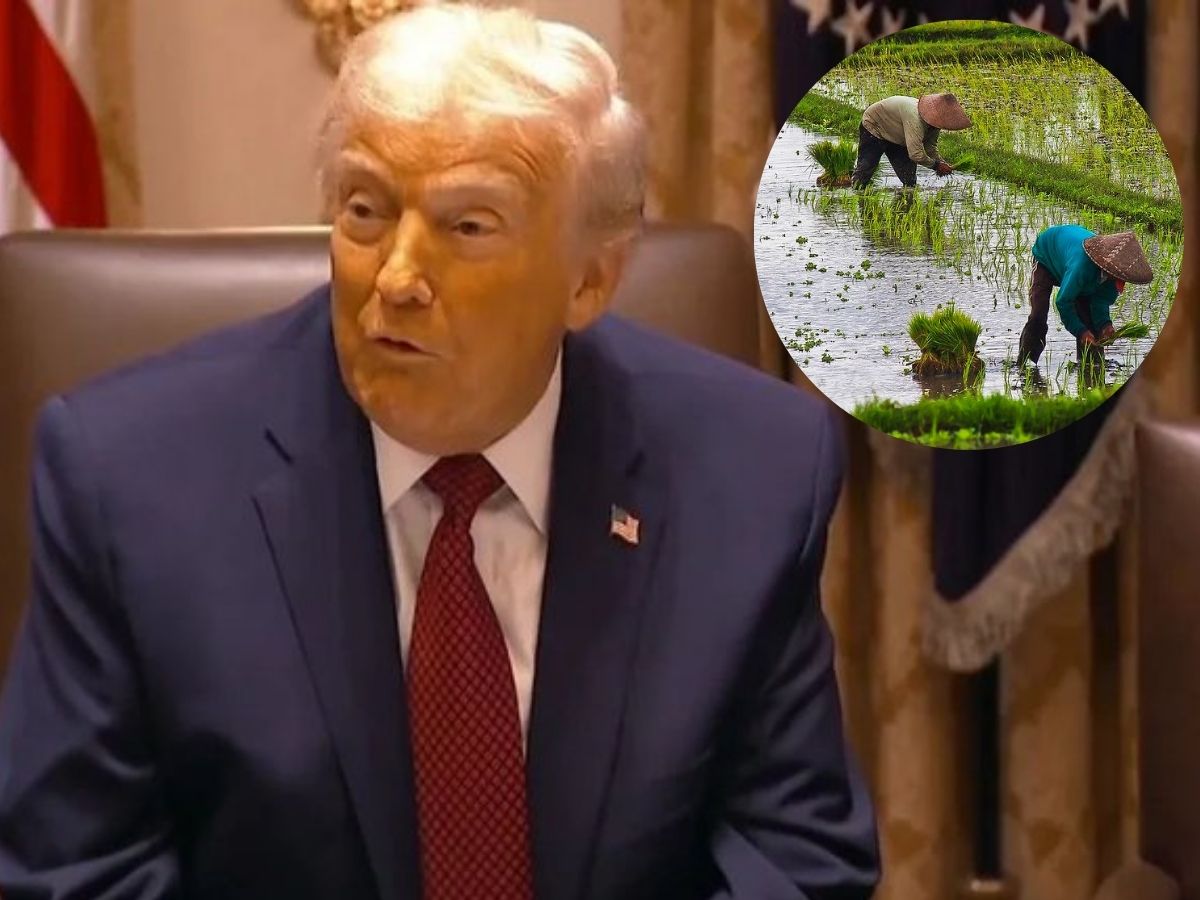 Donald Trump Weighs Imposing Additional Tariffs on Indian Rice Amid Farmer Pressure