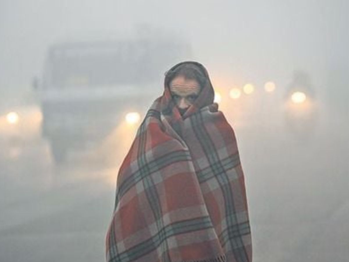 North India Freezes After Snowfall Hits Kashmir & Himachal Pradesh, IMD Issues Fresh Alerts; Delhi Braces for Fog