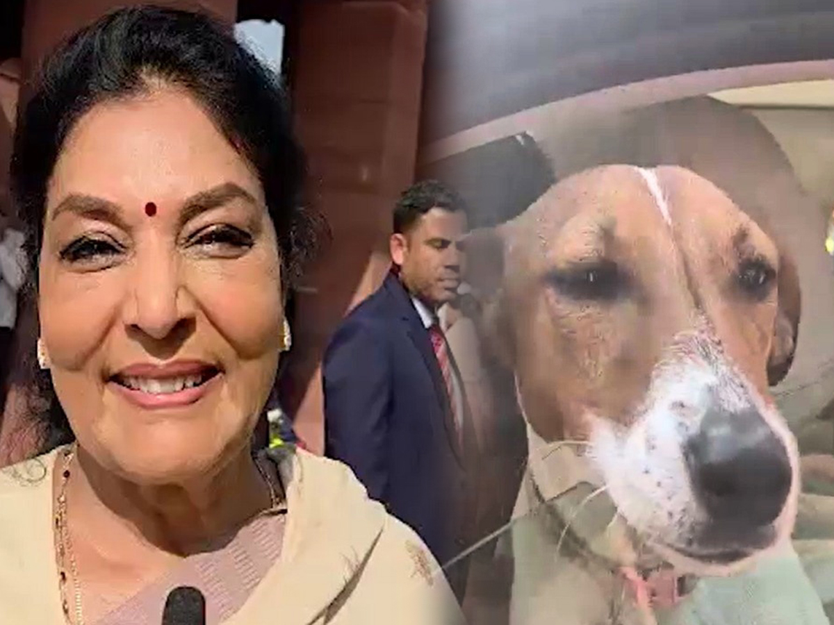 ‘Wooh, Wooh’: Renuka Chowdhury’s Dog Mimic Clip Adds Fuel to Parliament Row | Watch