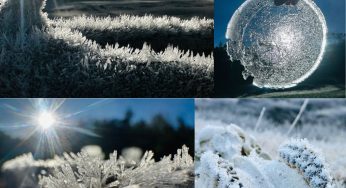 Below Zero in Ooty: Tourists Flock to Ooty to Witness Rare Frost After Temperatures Hit -1°C | Watch