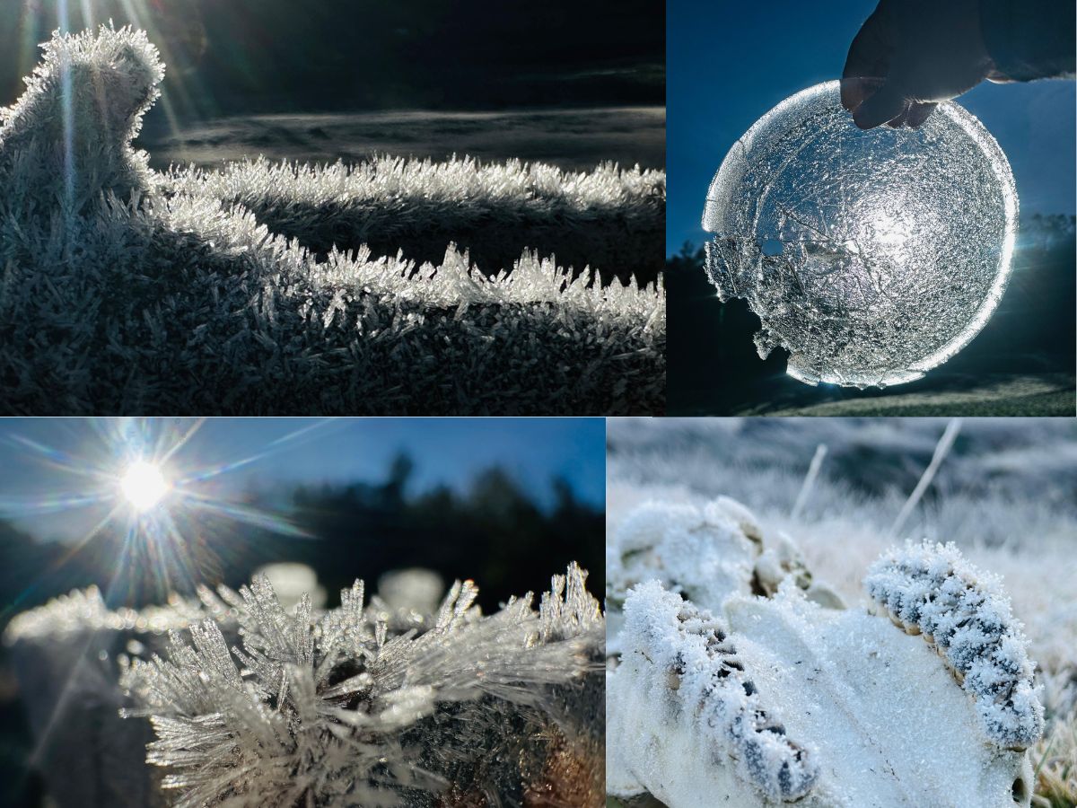 Below Zero in Ooty: Tourists Flock to Ooty to Witness Rare Frost After Temperatures Hit -1°C | Watch