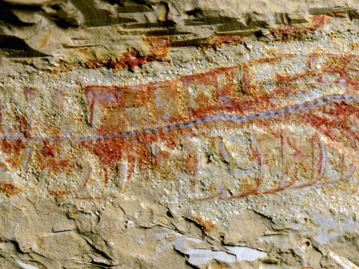 Time Capsule: Scientists Stunned by 520-Million-Year-Old Fossil’s Preserved Nervous System