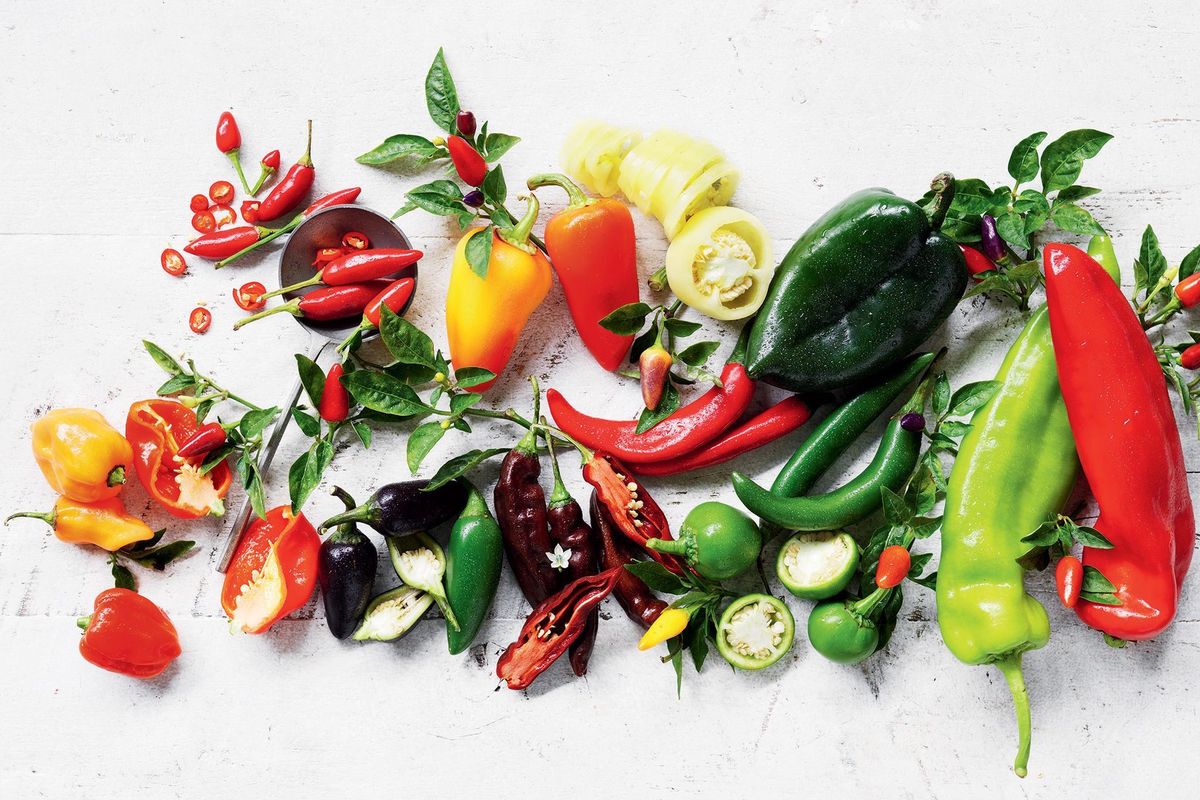 From Bhut Jolokia to Guntur: India’s Most Iconic Chilli Varieties