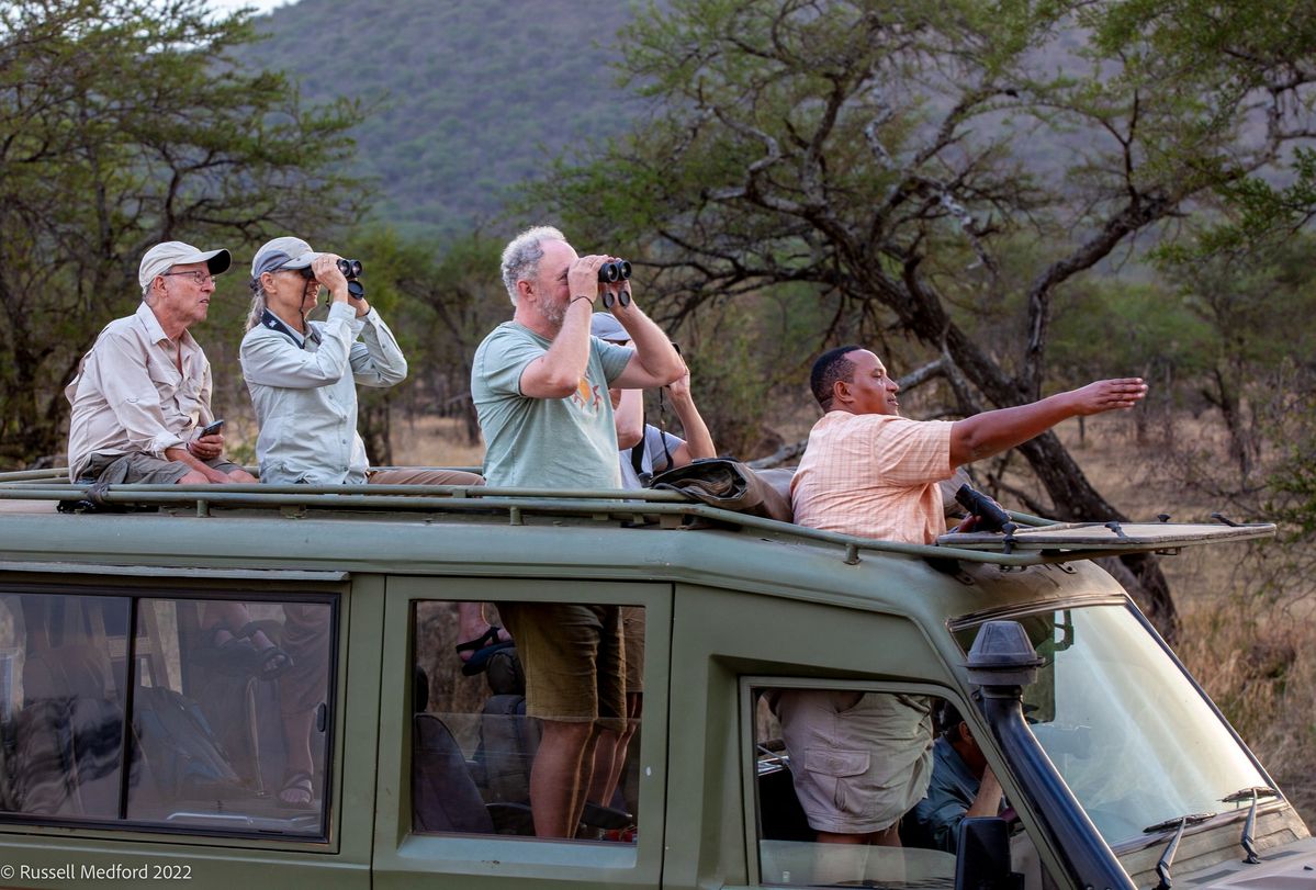 Lessons a Wildfire Safari Teaches Every Traveller