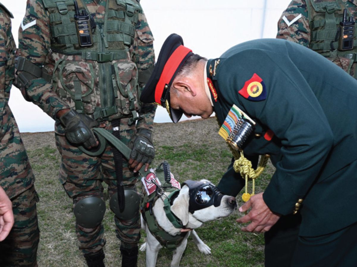 Unsung heroes on four legs: COAS felicitates camels, ponies and two canine warriors
