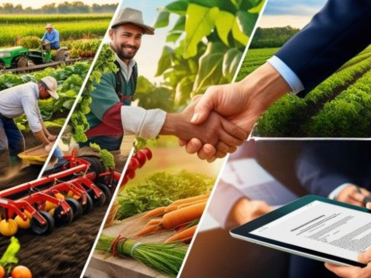 Why India Drew a Red Line on Agriculture and Dairy in the India–US Trade Deal